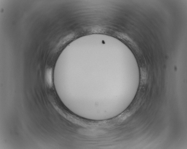 X0000067520028200604071035