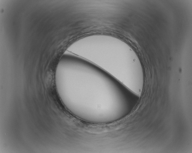 X0000067520029200604071035