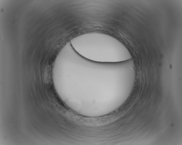 X0000067520030200604071035