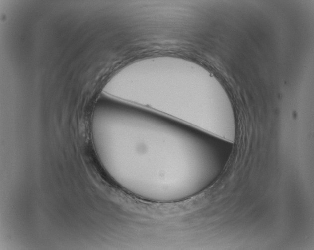 X0000067520031200604071035