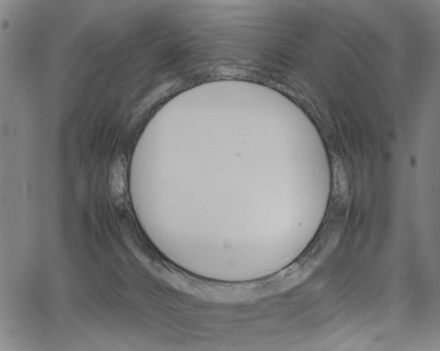 X0000067520032200604071035