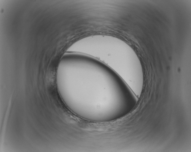 X0000067520033200604071035