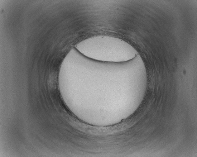 X0000067520034200604071035