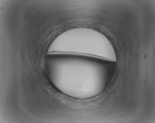 X0000067520035200604071035