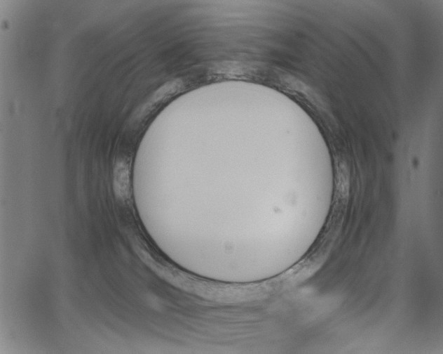 X0000067520036200604071035