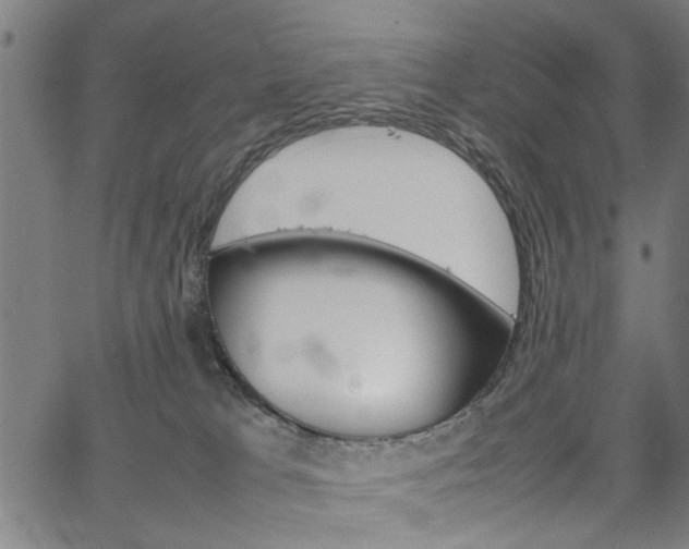 X0000067520037200604071035