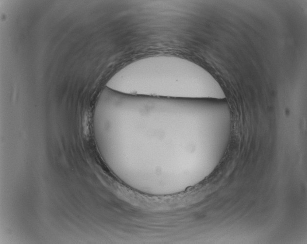 X0000067520038200604071035