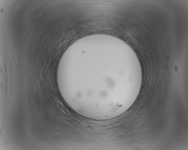 X0000067520039200604071035