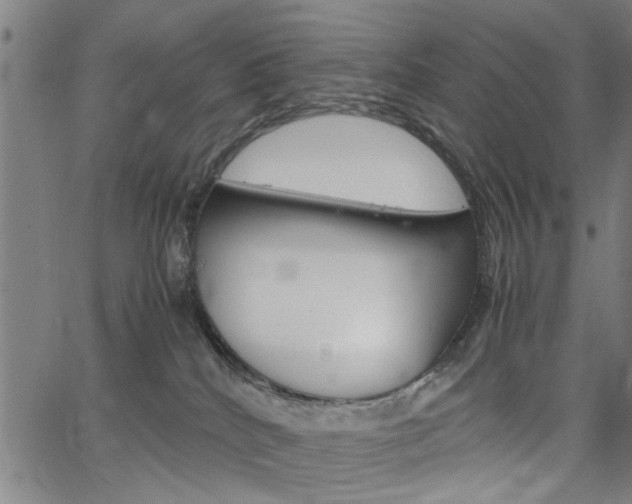 X0000067520040200604071035