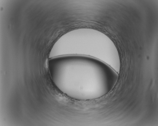 X0000067520041200604071035