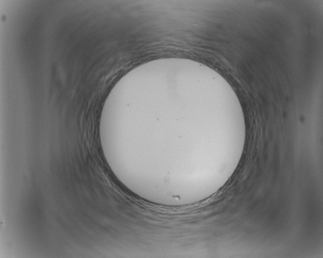 X0000067520043200604071035