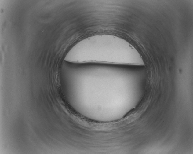 X0000067520044200604071035