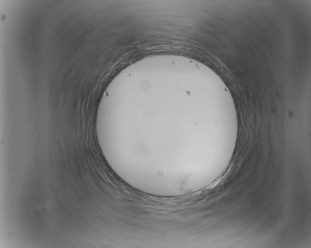 X0000067520045200604071035