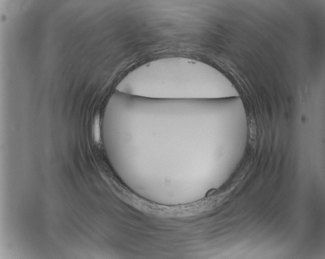 X0000067520046200604071035