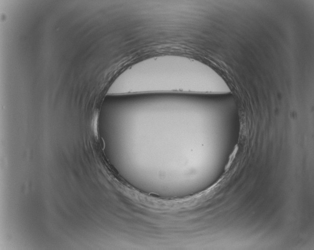 X0000067520047200604071035