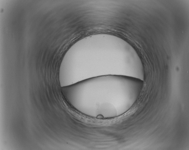 X0000067520048200604071035