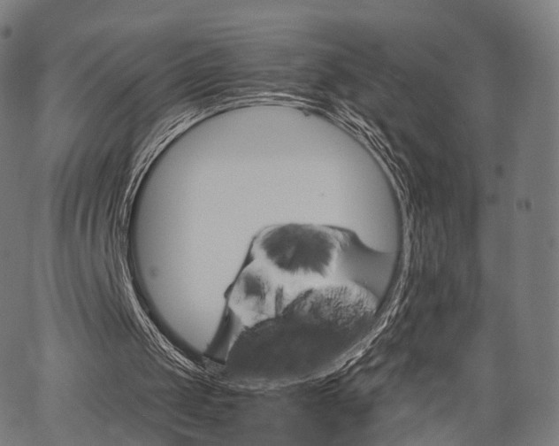 X0000067520049200604071034