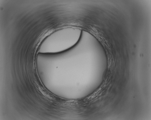 X0000067520050200604071034