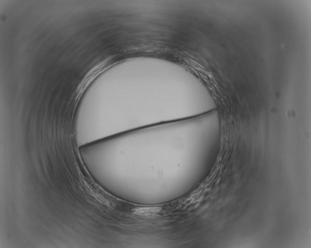 X0000067520051200604071034