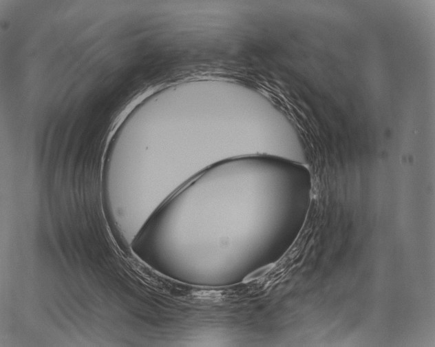 X0000067520052200604071034