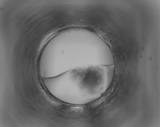 X0000067520053200604071034