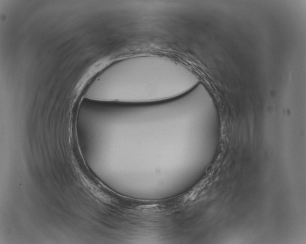 X0000067520054200604071034