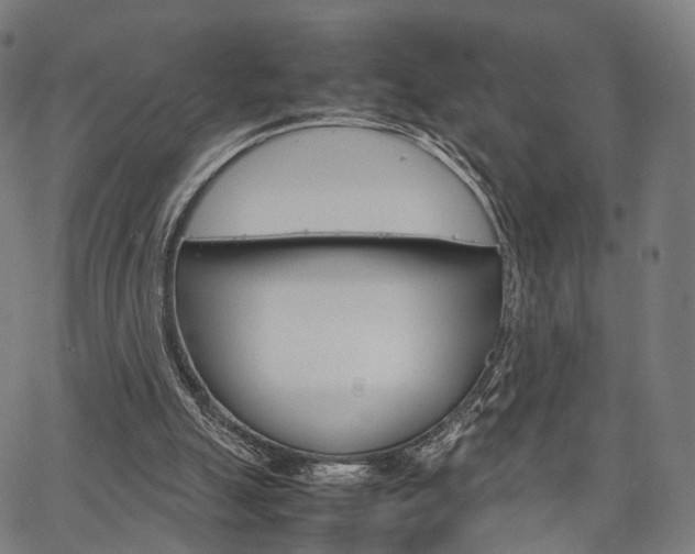 X0000067520055200604071034