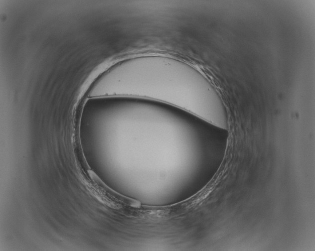 X0000067520056200604071034