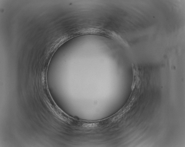 X0000067520057200604071034