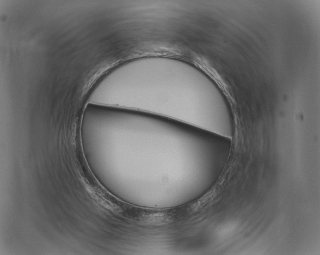 X0000067520058200604071034