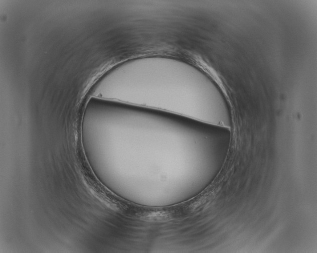 X0000067520059200604071034