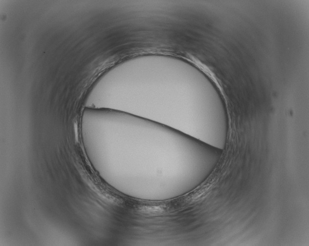 X0000067520061200604071034