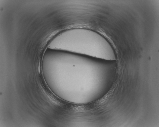 X0000067520062200604071034