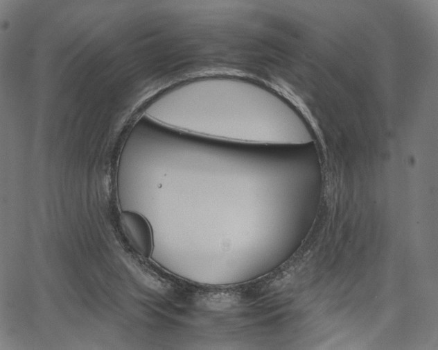 X0000067520063200604071034