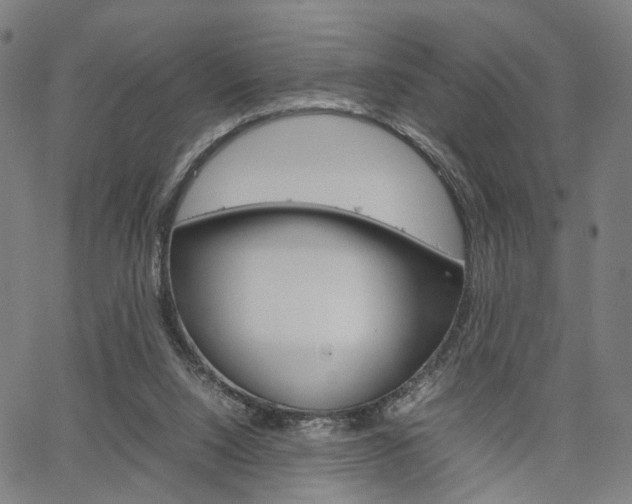 X0000067520064200604071034