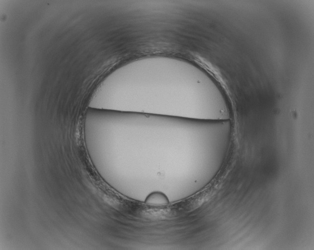 X0000067520065200604071034