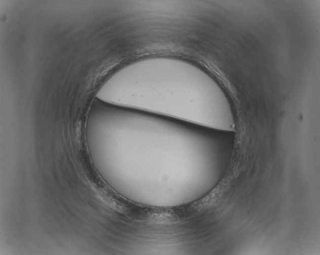 X0000067520066200604071034