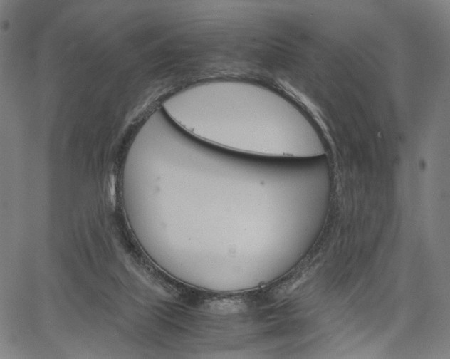 X0000067520067200604071034