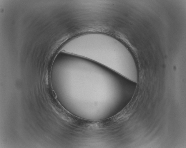 X0000067520068200604071034