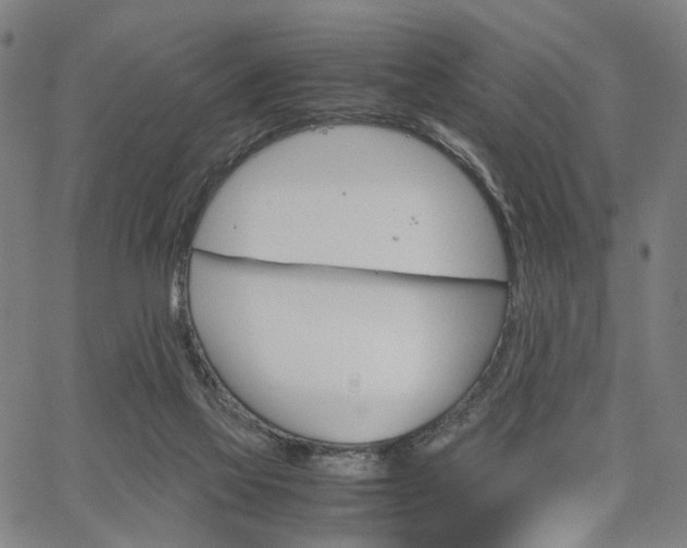 X0000067520069200604071034