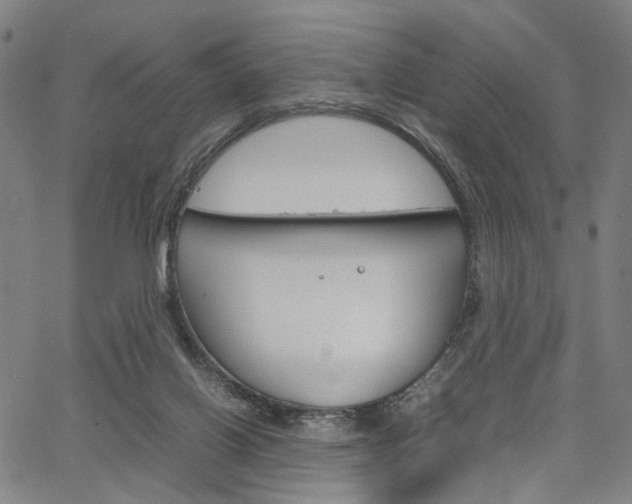 X0000067520070200604071034