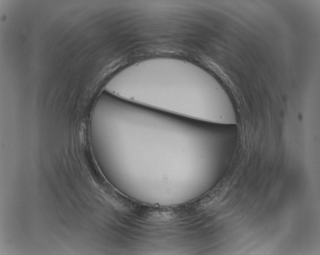 X0000067520071200604071034