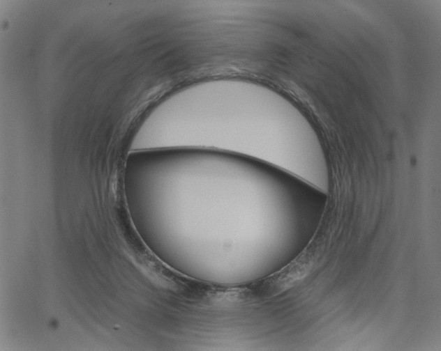 X0000067520072200604071034