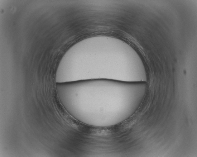 X0000067520073200604071035