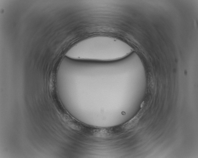 X0000067520074200604071035