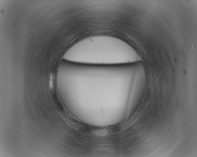 X0000067520075200604071035