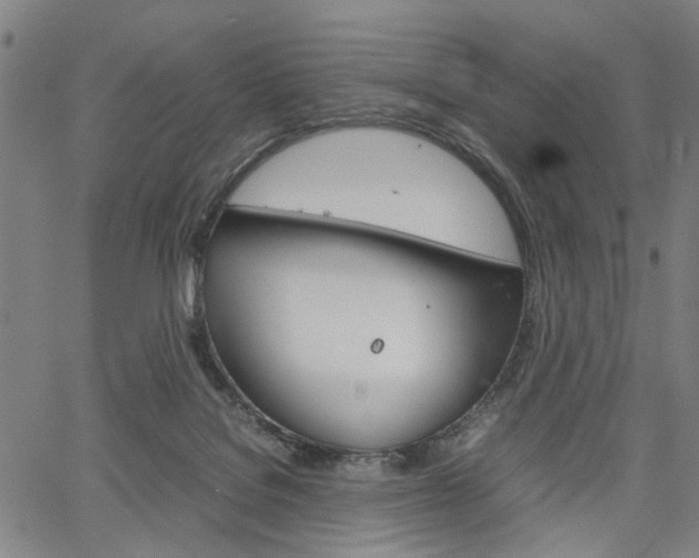 X0000067520076200604071035