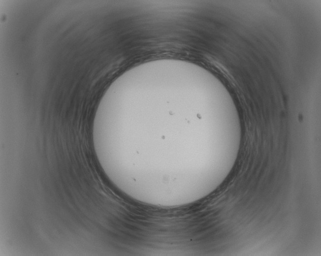 X0000067520077200604071035