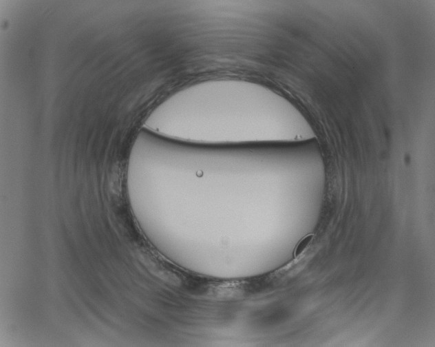 X0000067520078200604071035