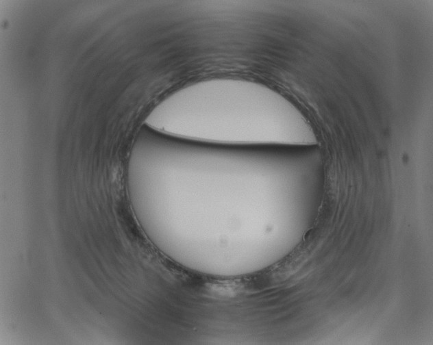 X0000067520079200604071035